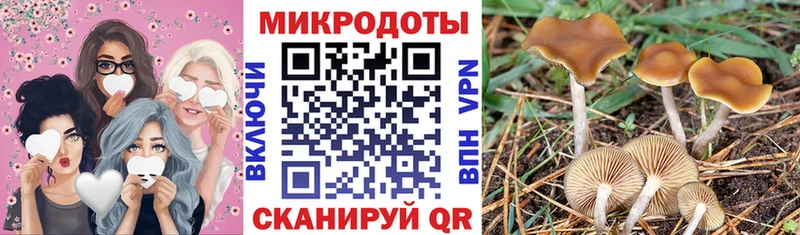 Галлюциногенные грибы Magic Shrooms  Егорьевск 